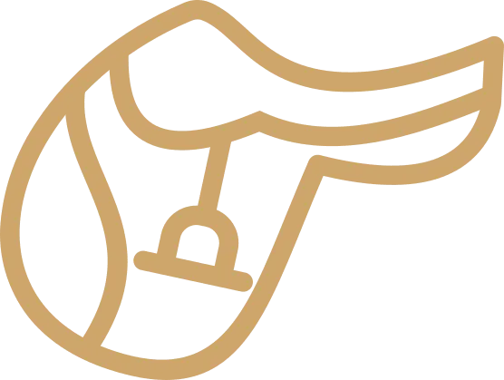Icône de Sellerie équestre